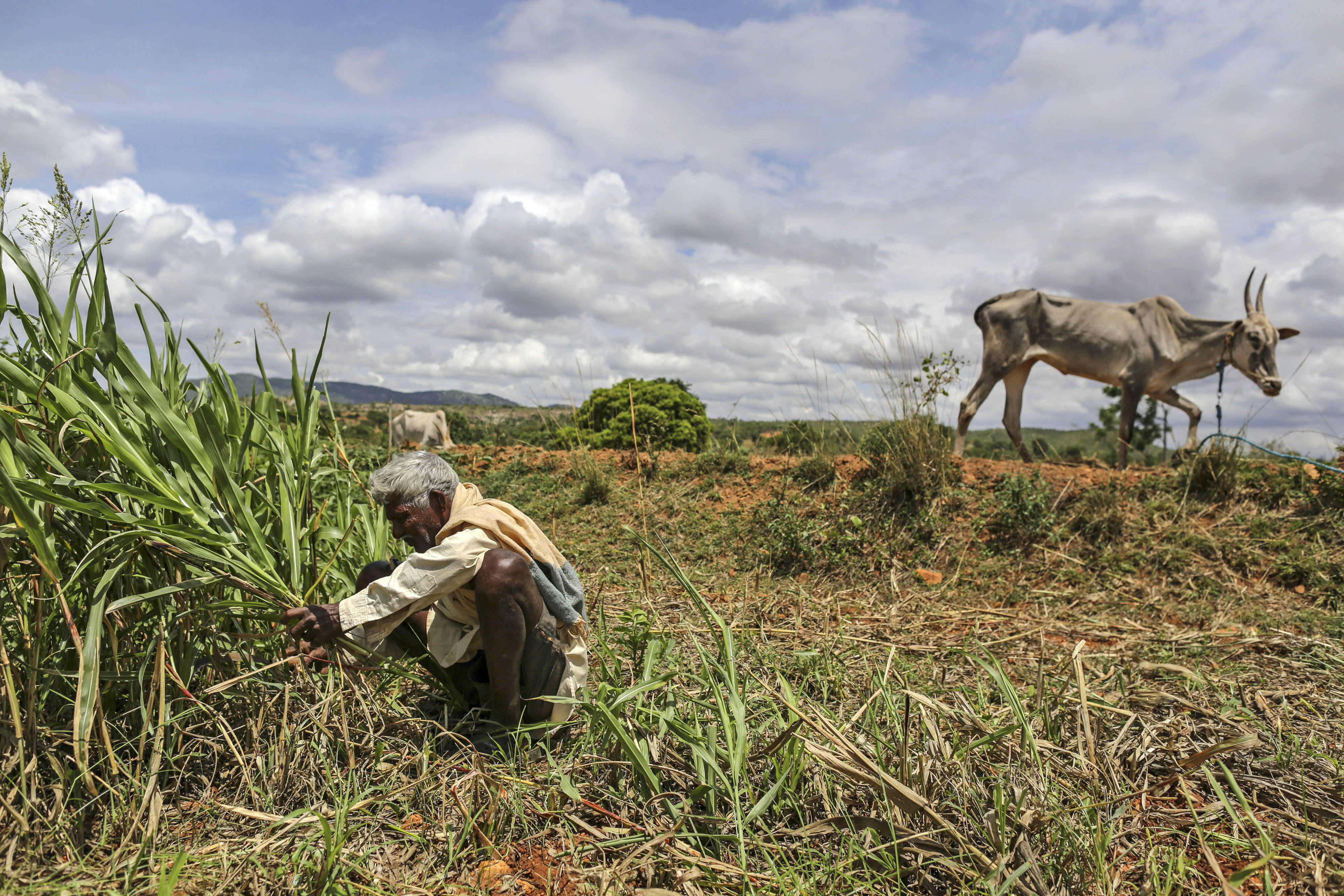 Centre Pays Around Rs 10,500 Crore In First Two Tranches Of PM Kisan Scheme